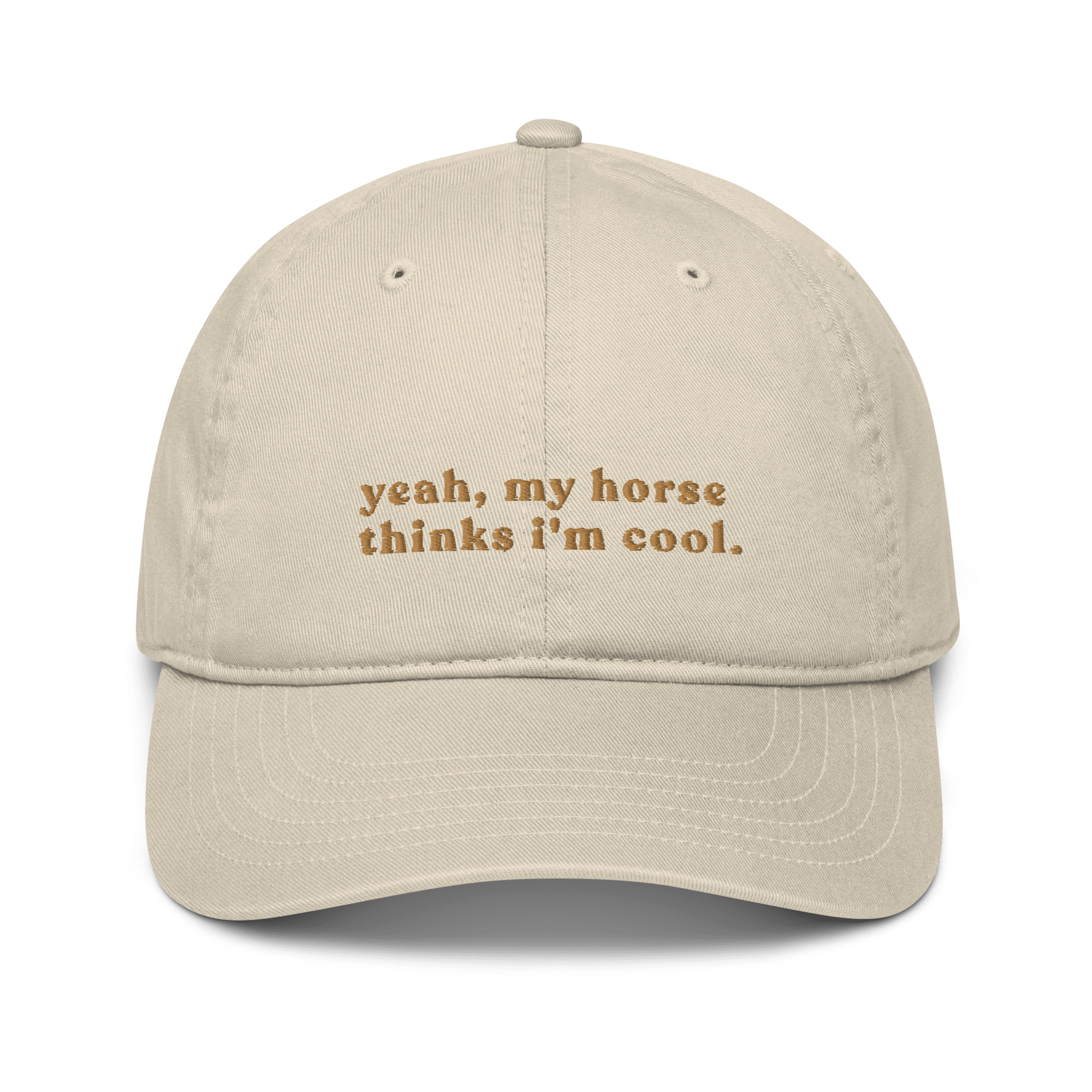 'my horse thinks i'm cool' | cap stick