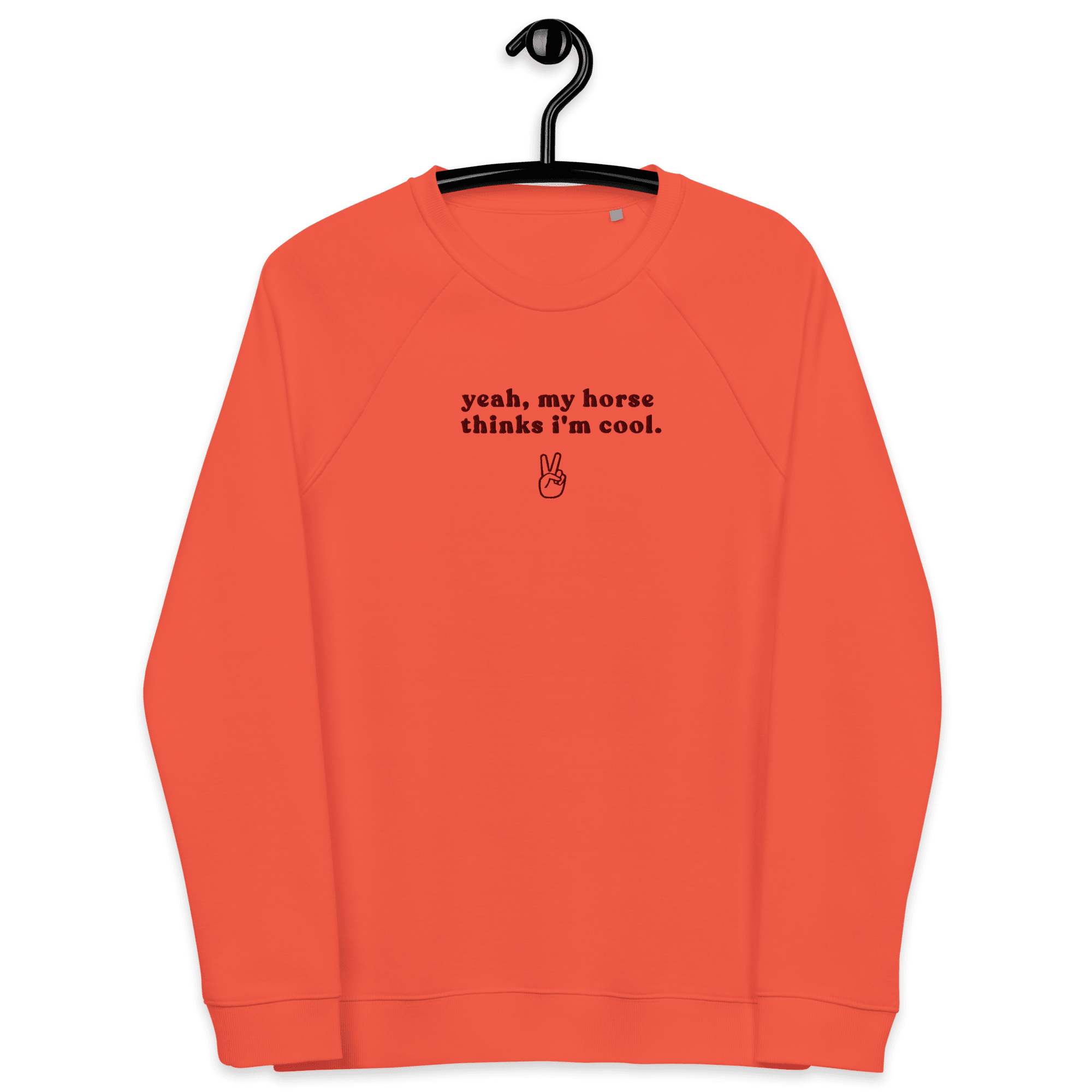'my horse thinks i'm cool' | sweatshirt aus 100 % baumwolle